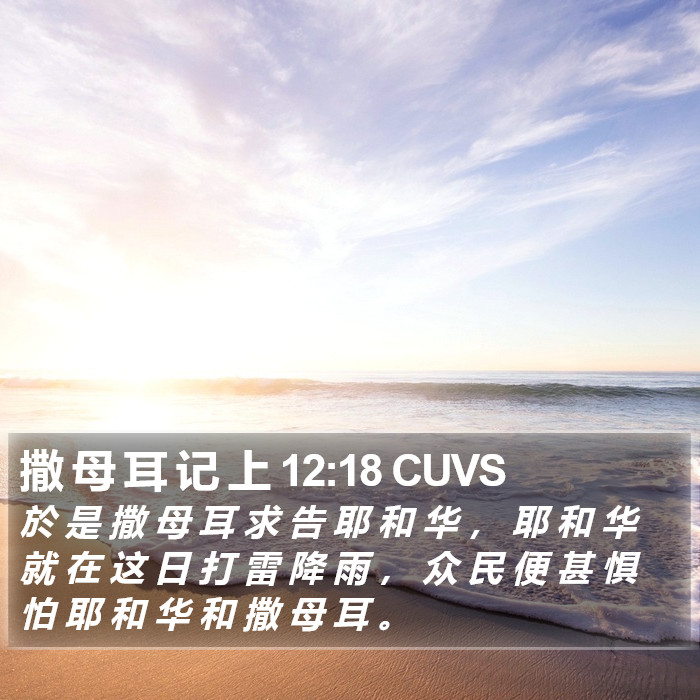撒 母 耳 记 上 12:18 CUVS Bible Study