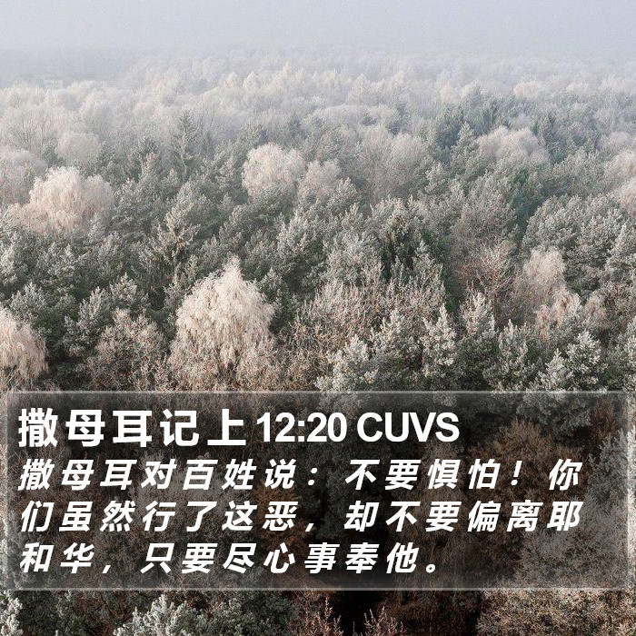 撒 母 耳 记 上 12:20 CUVS Bible Study