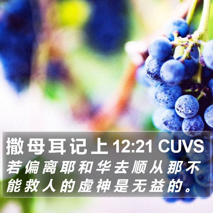 撒 母 耳 记 上 12:21 CUVS Bible Study
