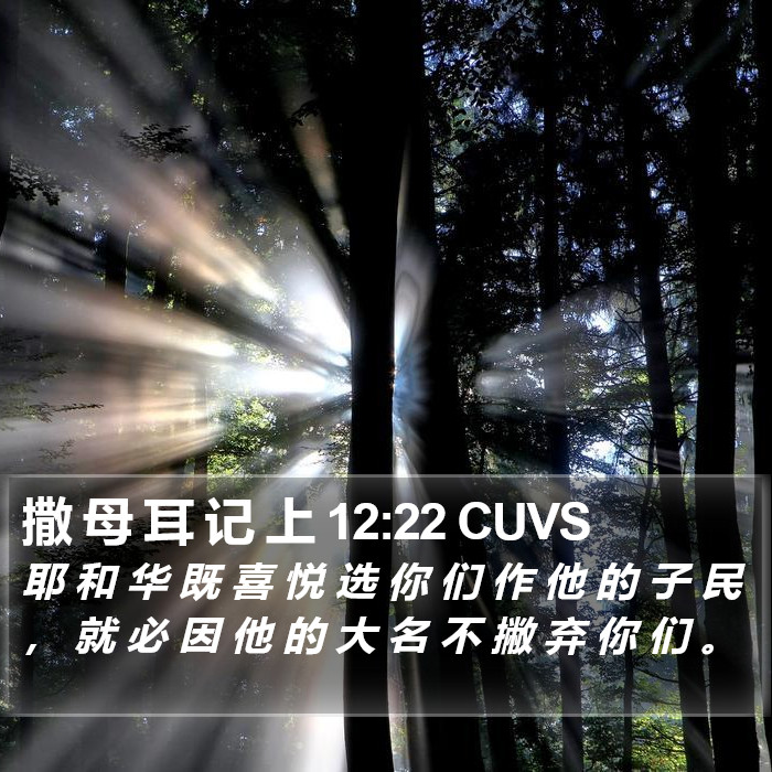 撒 母 耳 记 上 12:22 CUVS Bible Study
