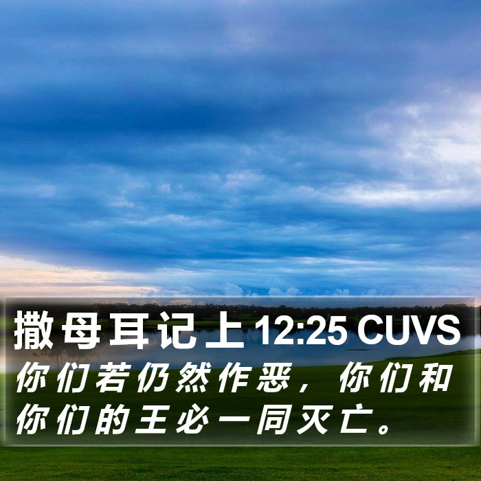 撒 母 耳 记 上 12:25 CUVS Bible Study
