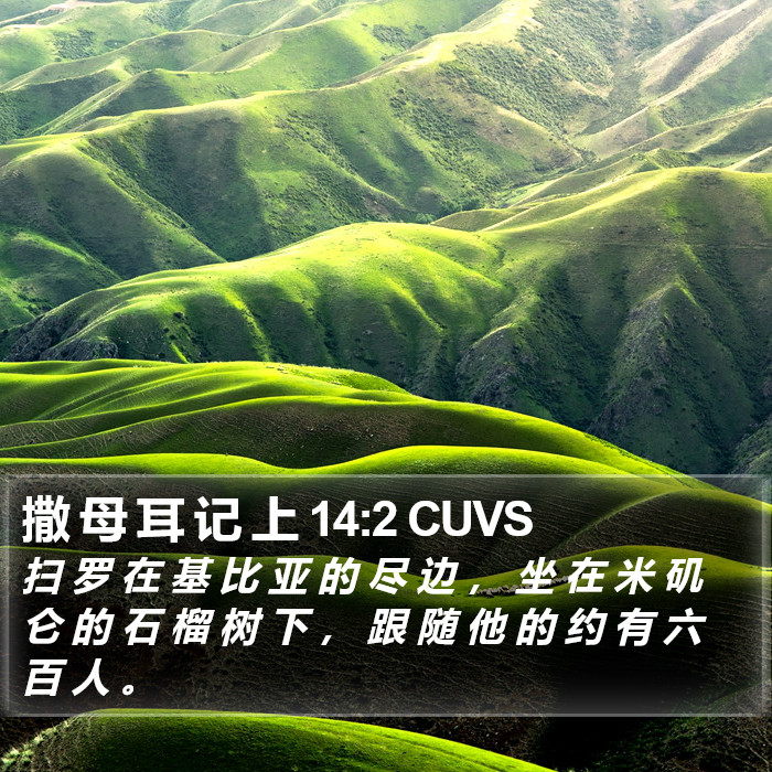 撒 母 耳 记 上 14:2 CUVS Bible Study
