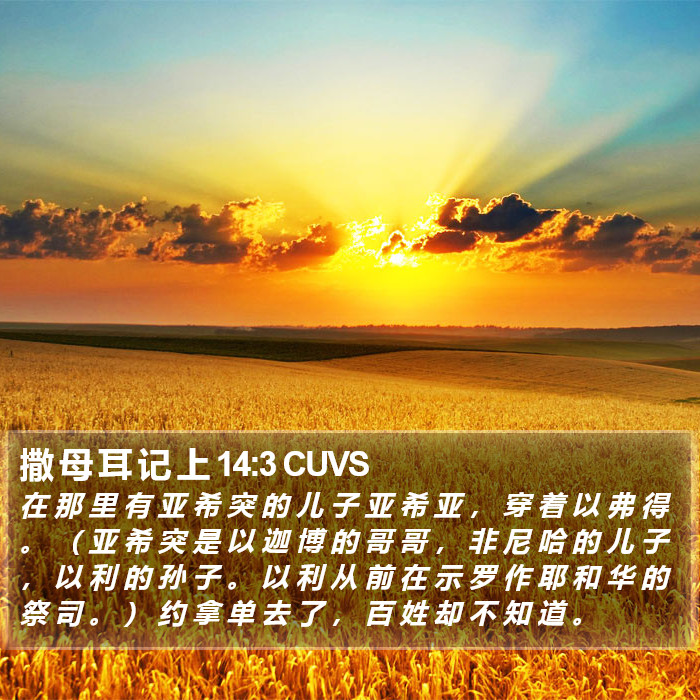 撒 母 耳 记 上 14:3 CUVS Bible Study