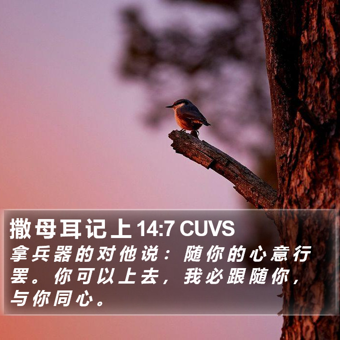 撒 母 耳 记 上 14:7 CUVS Bible Study