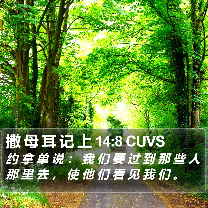 撒 母 耳 记 上 14:8 CUVS Bible Study