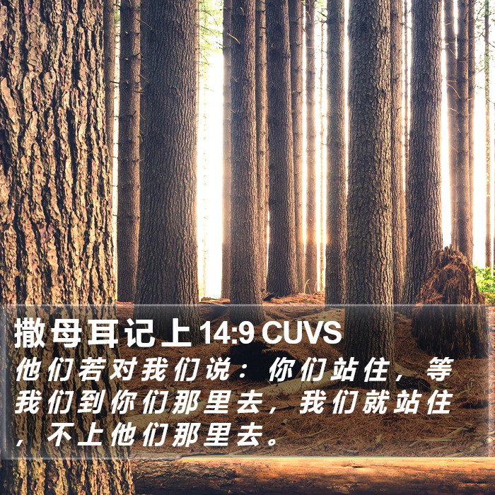 撒 母 耳 记 上 14:9 CUVS Bible Study