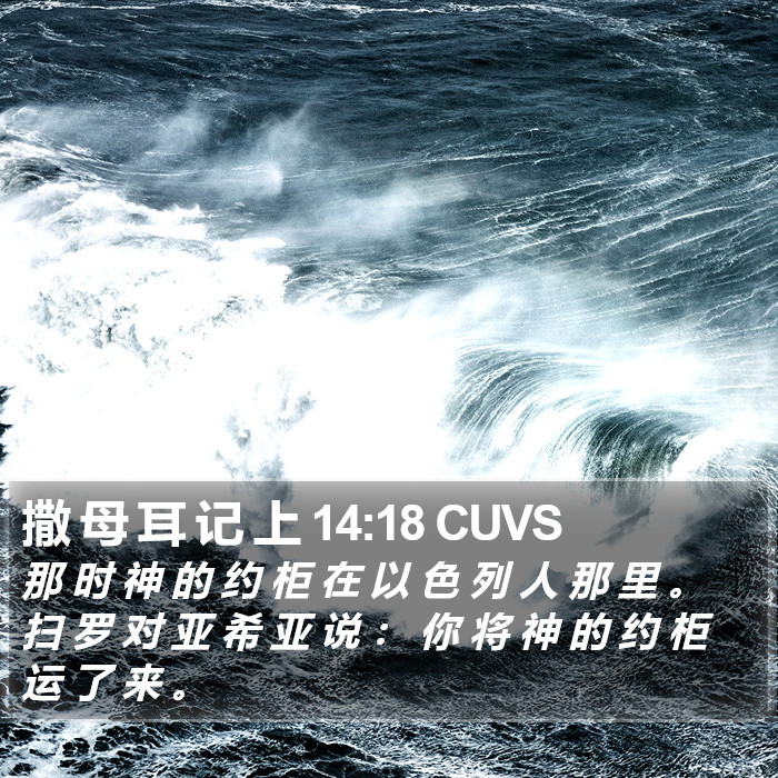 撒 母 耳 记 上 14:18 CUVS Bible Study