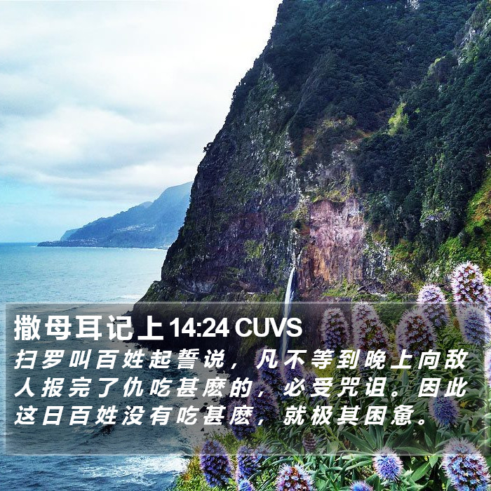 撒 母 耳 记 上 14:24 CUVS Bible Study