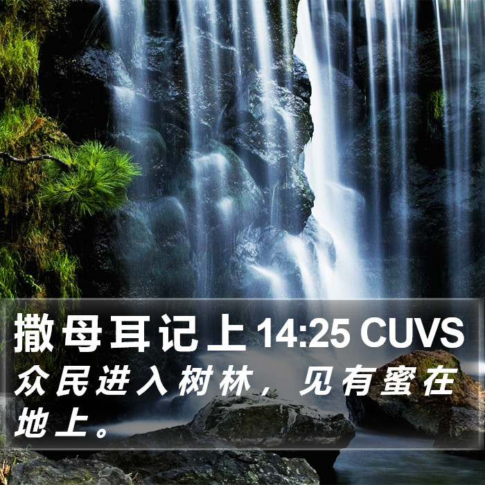 撒 母 耳 记 上 14:25 CUVS Bible Study