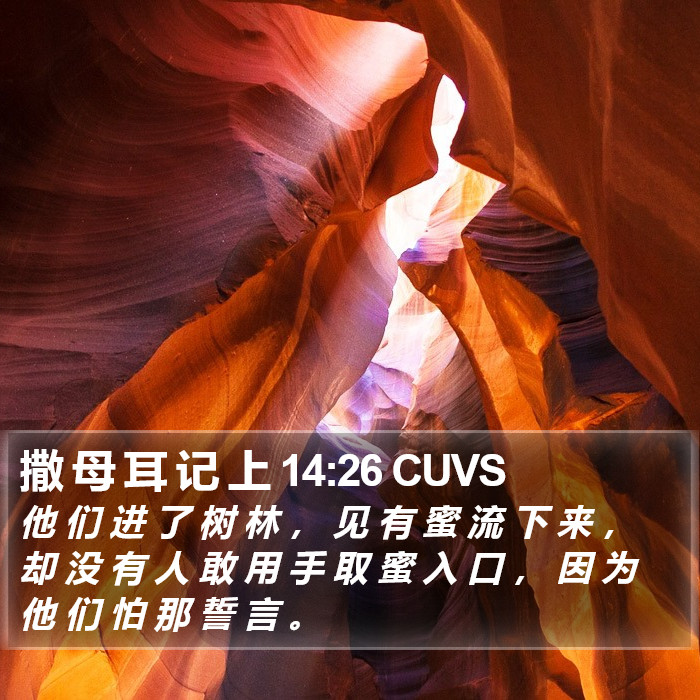 撒 母 耳 记 上 14:26 CUVS Bible Study