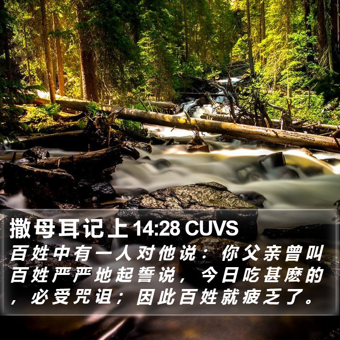 撒 母 耳 记 上 14:28 CUVS Bible Study