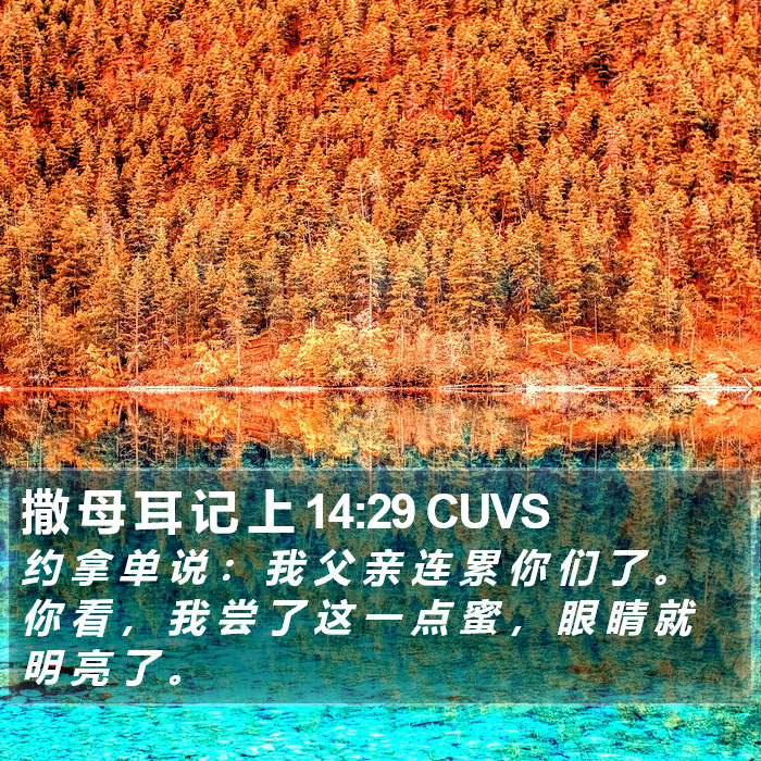 撒 母 耳 记 上 14:29 CUVS Bible Study