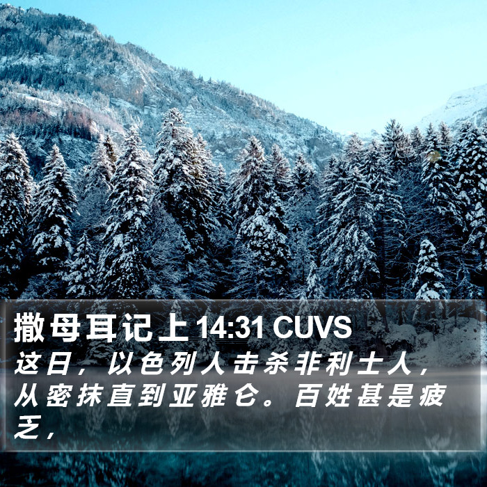 撒 母 耳 记 上 14:31 CUVS Bible Study