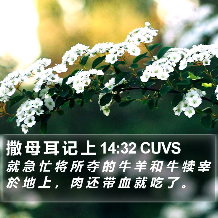 撒 母 耳 记 上 14:32 CUVS Bible Study