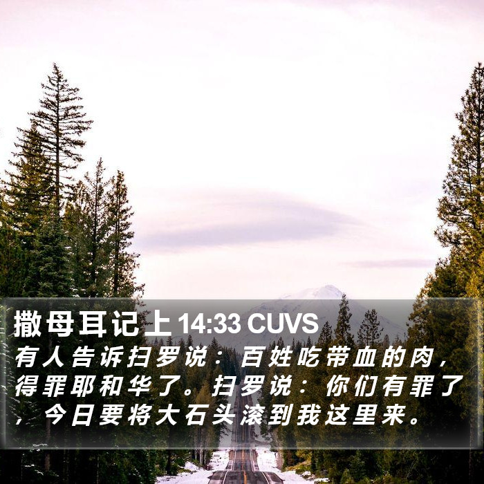 撒 母 耳 记 上 14:33 CUVS Bible Study