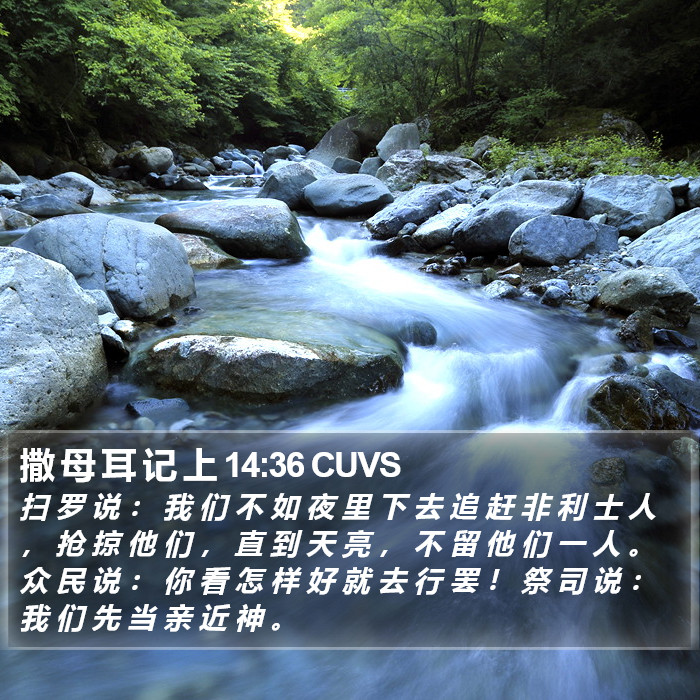 撒 母 耳 记 上 14:36 CUVS Bible Study