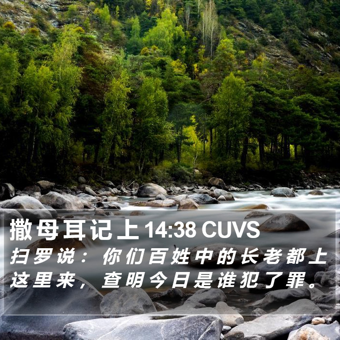 撒 母 耳 记 上 14:38 CUVS Bible Study