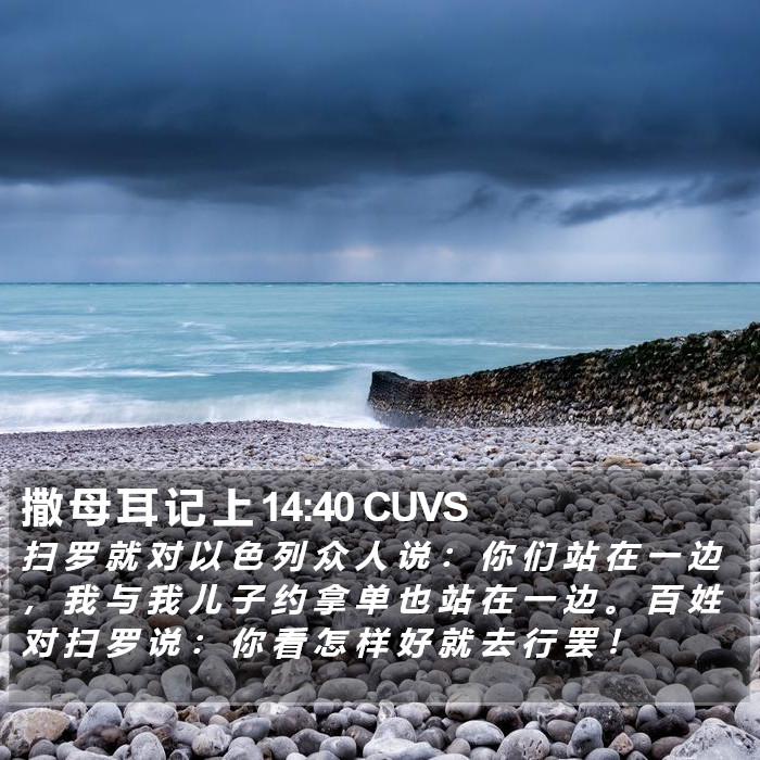 撒 母 耳 记 上 14:40 CUVS Bible Study