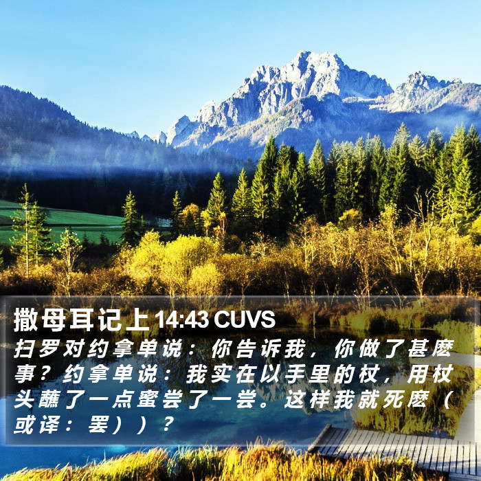 撒 母 耳 记 上 14:43 CUVS Bible Study