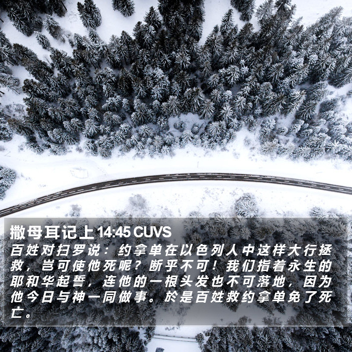 撒 母 耳 记 上 14:45 CUVS Bible Study
