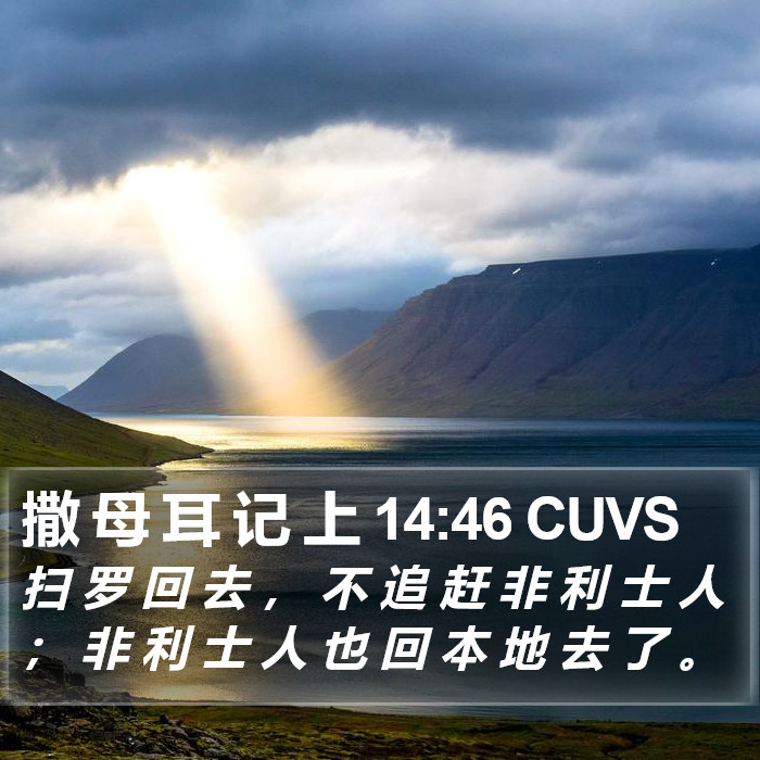 撒 母 耳 记 上 14:46 CUVS Bible Study