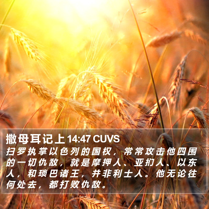撒 母 耳 记 上 14:47 CUVS Bible Study