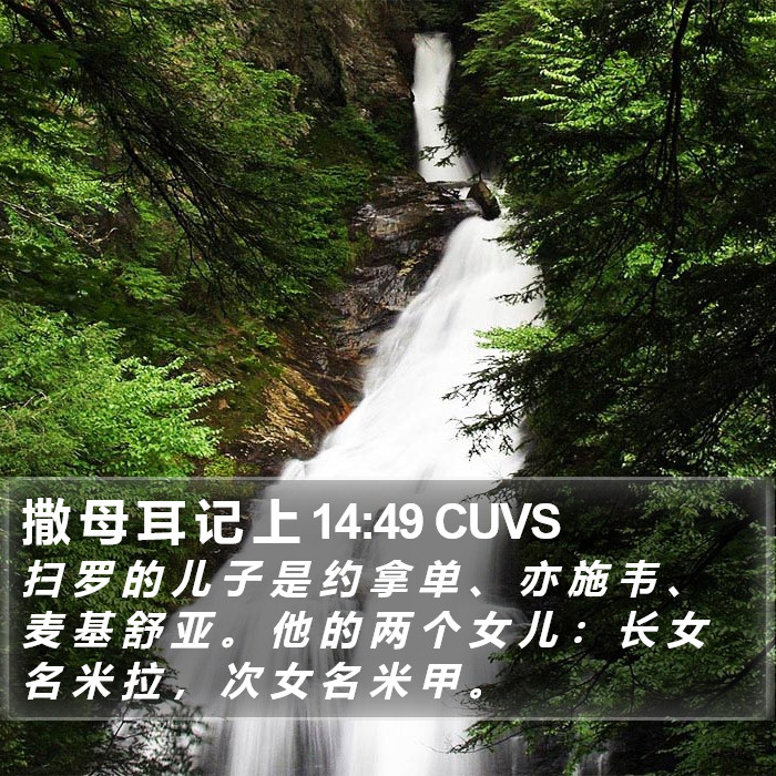 撒 母 耳 记 上 14:49 CUVS Bible Study