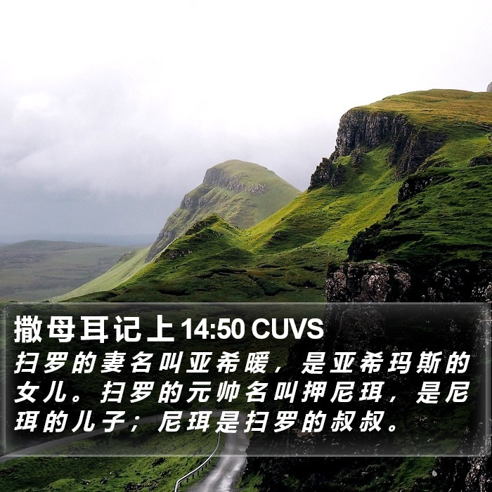 撒 母 耳 记 上 14:50 CUVS Bible Study