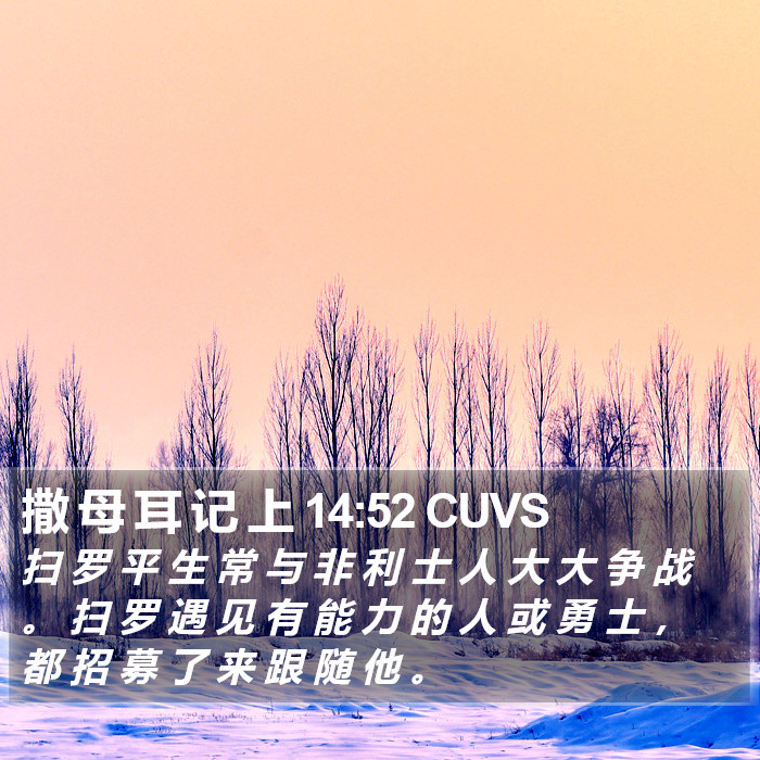 撒 母 耳 记 上 14:52 CUVS Bible Study