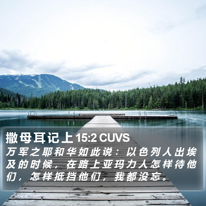 撒 母 耳 记 上 15:2 CUVS Bible Study