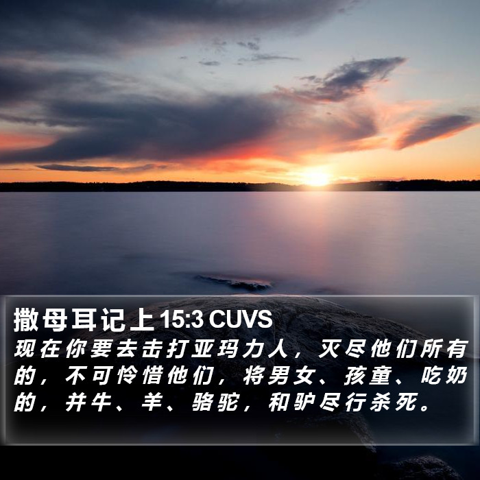 撒 母 耳 记 上 15:3 CUVS Bible Study