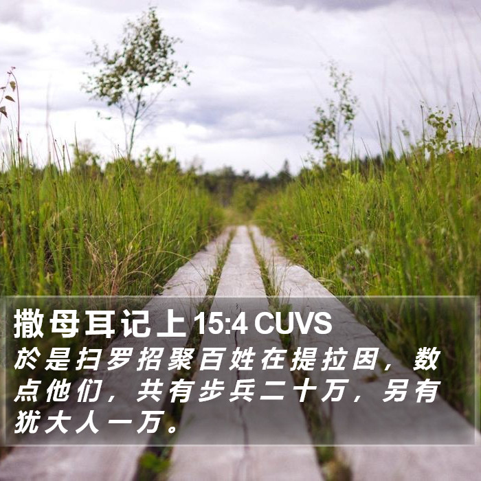 撒 母 耳 记 上 15:4 CUVS Bible Study