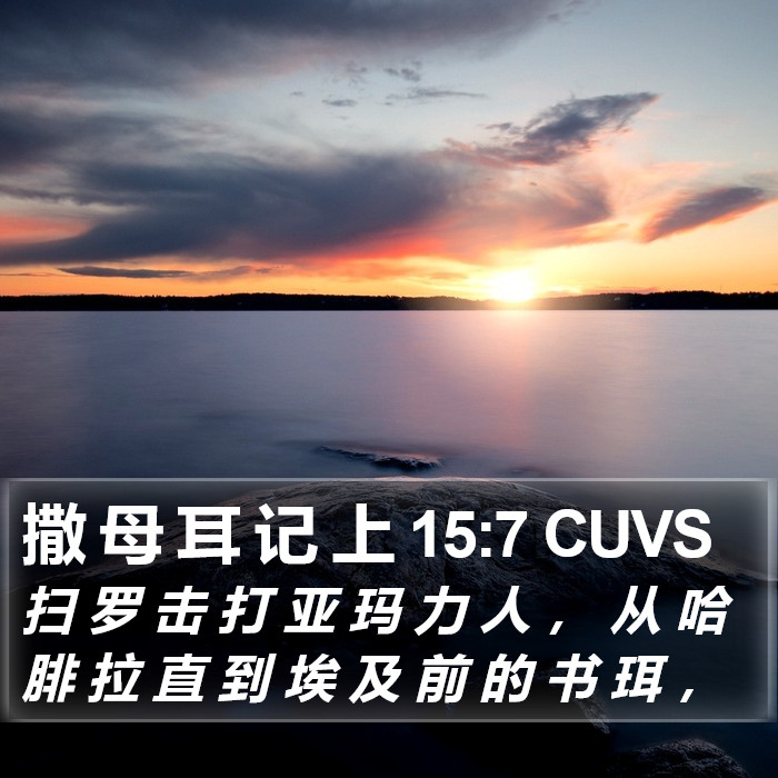 撒 母 耳 记 上 15:7 CUVS Bible Study