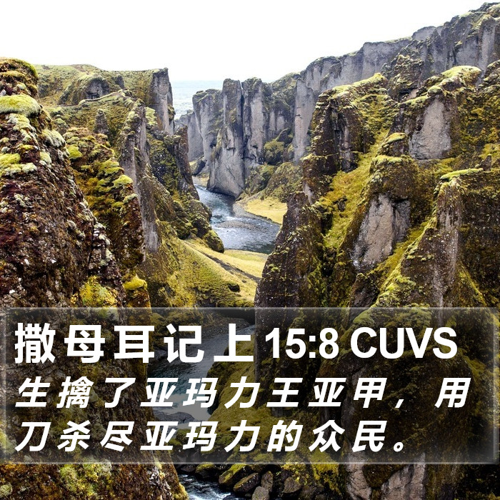 撒 母 耳 记 上 15:8 CUVS Bible Study