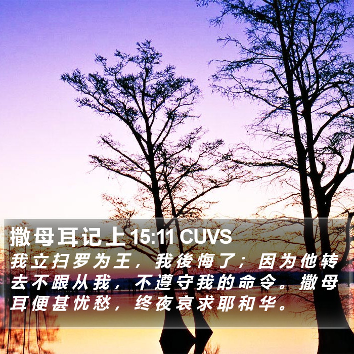 撒 母 耳 记 上 15:11 CUVS Bible Study
