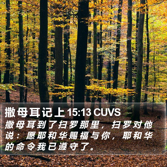 撒 母 耳 记 上 15:13 CUVS Bible Study