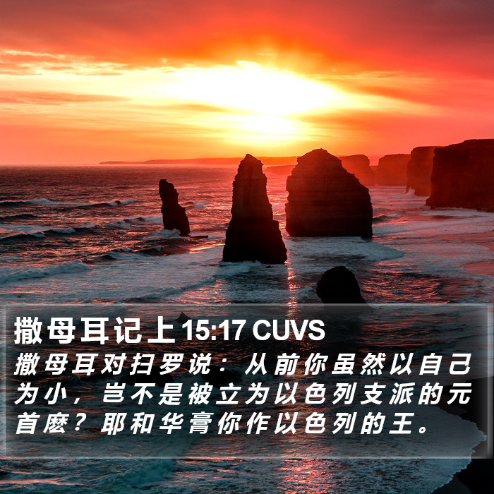 撒 母 耳 记 上 15:17 CUVS Bible Study