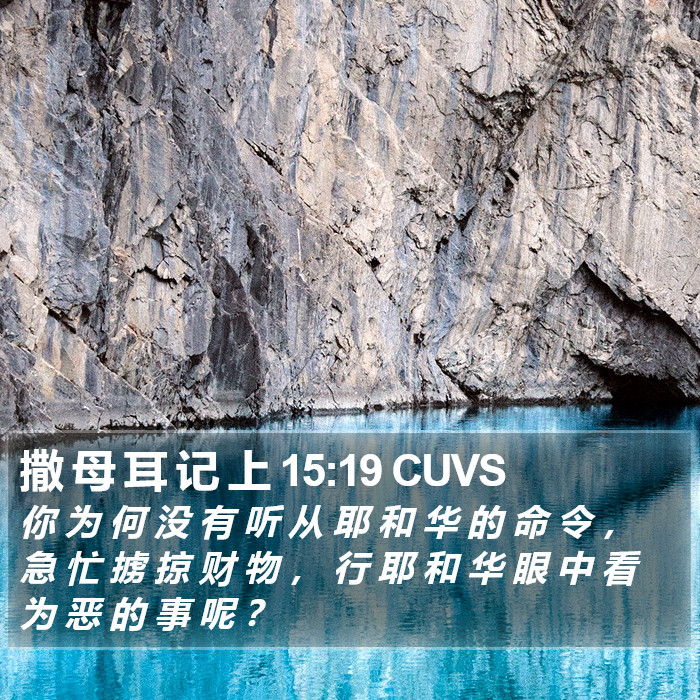 撒 母 耳 记 上 15:19 CUVS Bible Study