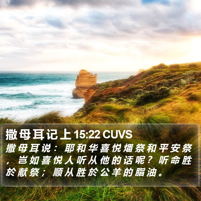 撒 母 耳 记 上 15:22 CUVS Bible Study