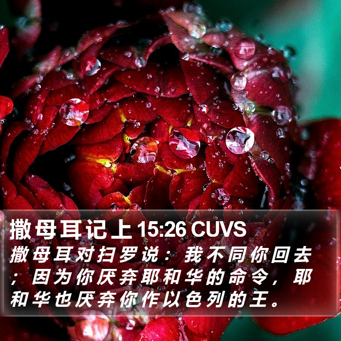 撒 母 耳 记 上 15:26 CUVS Bible Study