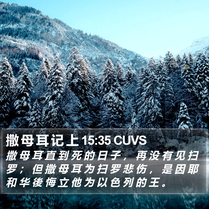 撒 母 耳 记 上 15:35 CUVS Bible Study