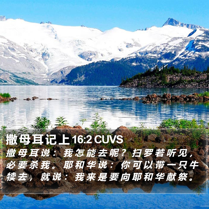 撒 母 耳 记 上 16:2 CUVS Bible Study