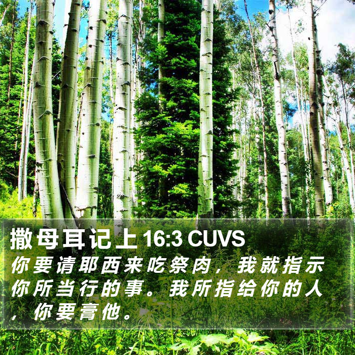 撒 母 耳 记 上 16:3 CUVS Bible Study