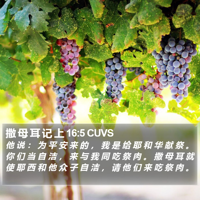 撒 母 耳 记 上 16:5 CUVS Bible Study
