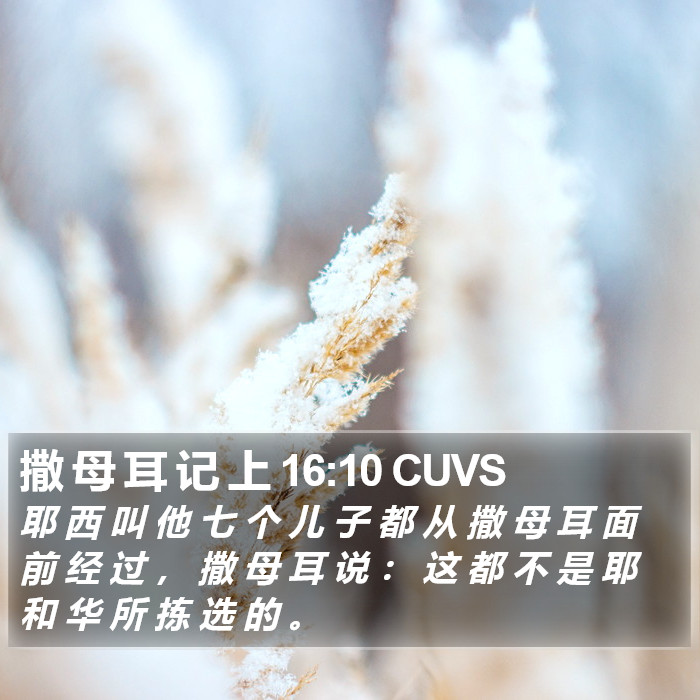 撒 母 耳 记 上 16:10 CUVS Bible Study