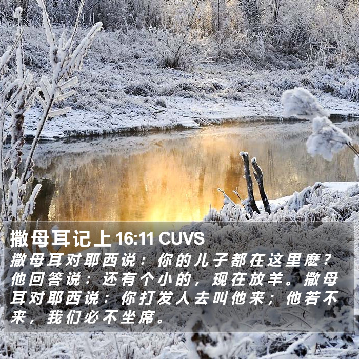 撒 母 耳 记 上 16:11 CUVS Bible Study