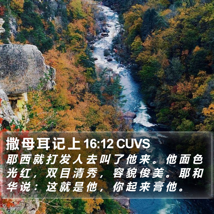 撒 母 耳 记 上 16:12 CUVS Bible Study