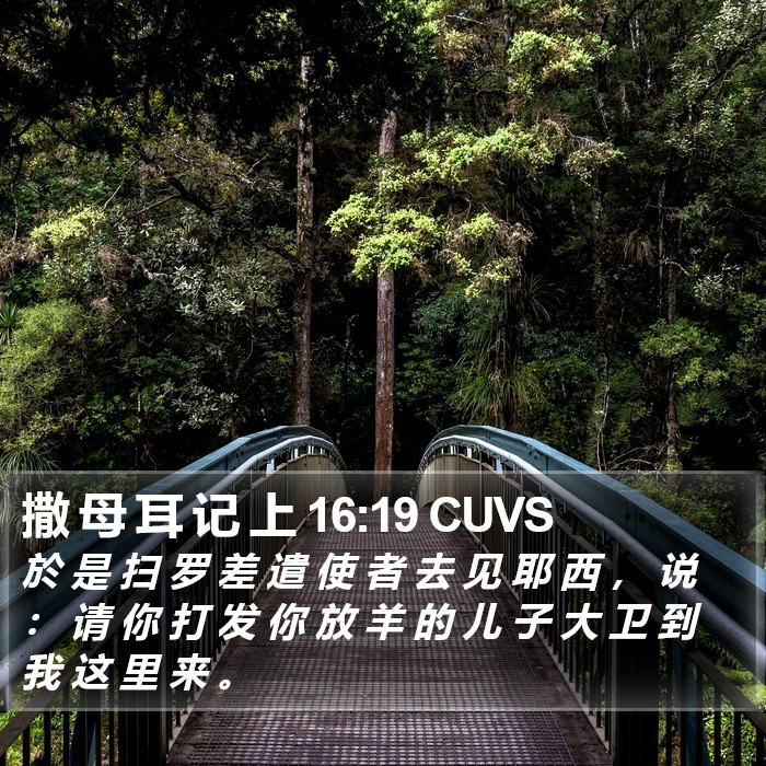 撒 母 耳 记 上 16:19 CUVS Bible Study