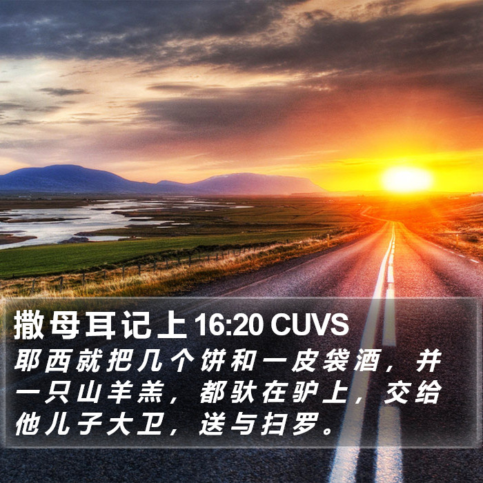 撒 母 耳 记 上 16:20 CUVS Bible Study