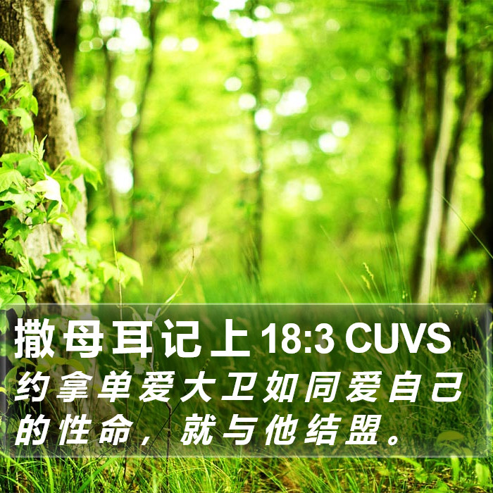 撒 母 耳 记 上 18:3 CUVS Bible Study